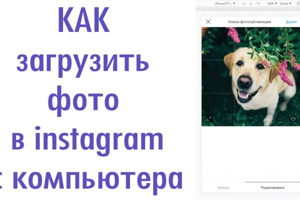 Кракен гидра